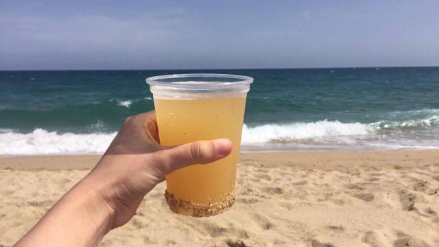 18339136_10154521609445980_988063760_o