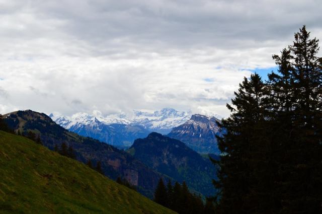 18447205_10154553581090980_1642388898978631085_n