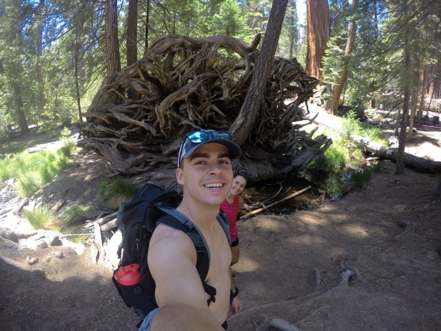 GPTempDownload 10.JPG